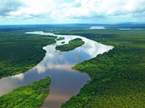 Что значит Амазонка во сне
