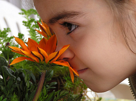 Нюхать душистые цветы и растения - фото №2