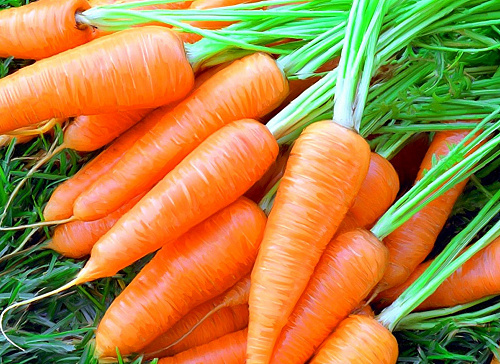 Что значит Морковь во сне