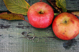 Горькие яблоки - фото №3