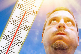 Высокая температура - фото №1