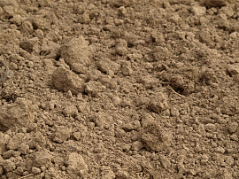 Глина глинистая почва - фото №2