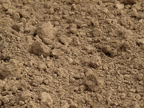 Что значит Глина глинистая почва во сне