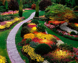 Цветуший сад, ухоженная красивая земля - фото №3