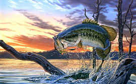 Рыба (рыбалка) - фото №3