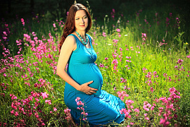 Беременная дама - фото №2