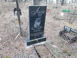 Собака, охраняющая ворота около кладбища