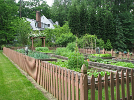 Огород с оградой - фото №3