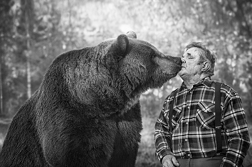 Что значит Подружиться с медведем во сне