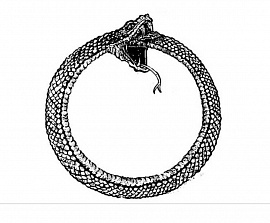 Змея, жалящая свой хвост - фото №5