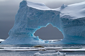 Антарктика - фото №1