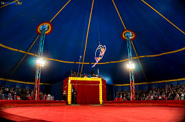 Купол цирка