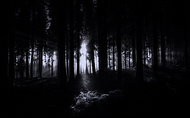 Темнота, мрак, сумрак, гаснущий свет - фото №1
