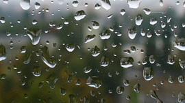 Дождь за окном - фото №19