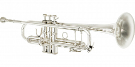Трубу (музыкальный инструмент)