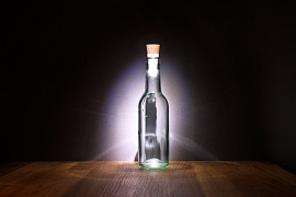 Бутылку пустую - фото №10