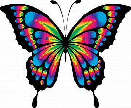 Цветная бабочка - фото №6