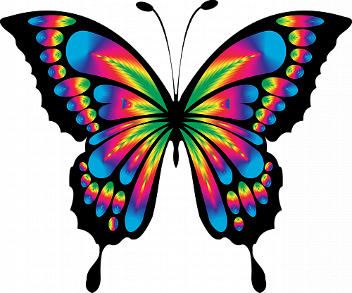 Что значит Цветная бабочка во сне