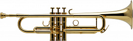 Труба (муз. инструмент) - фото №1