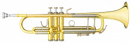 Труба (духовой инструмент) - фото №1