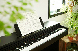 Рояль (пианино) - фото №1