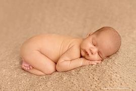 Младенец грудной - фото №1