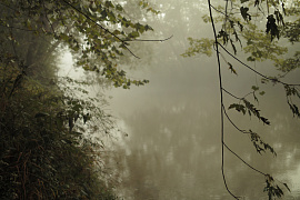 Дождь с туманом - фото №5