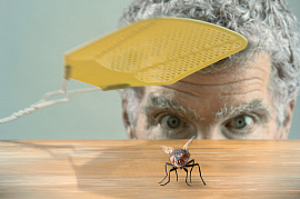Прибить насекомое - фото №2