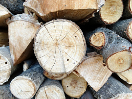 Дерево (материал) дрова - фото №1