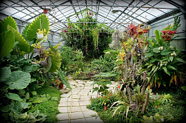 Сад ботанический - фото №4