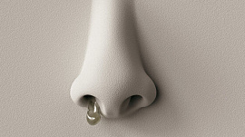 Ноздря (ноздри, нос) - фото №7