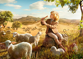 Пастушка - фото №2