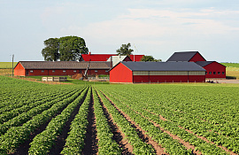 Ферма, крестьянское хозяйство - фото №5