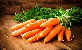 Морковка (морковь). - фото №1