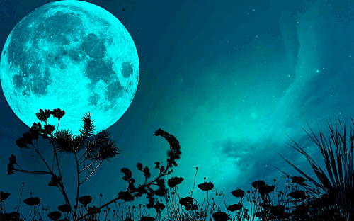 Что значит Ночь лунная во сне