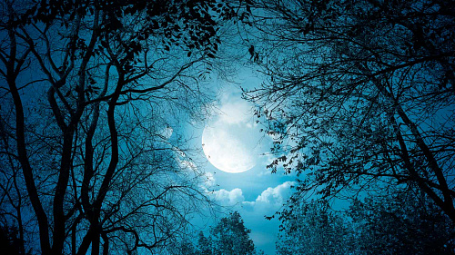 Что значит Пейзаж, залитый лунным светом во сне