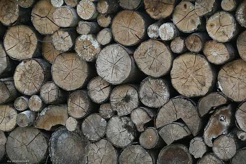 Что значит Прятаться в дровах во сне