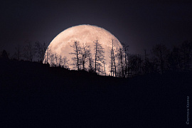Восход луны - фото №5