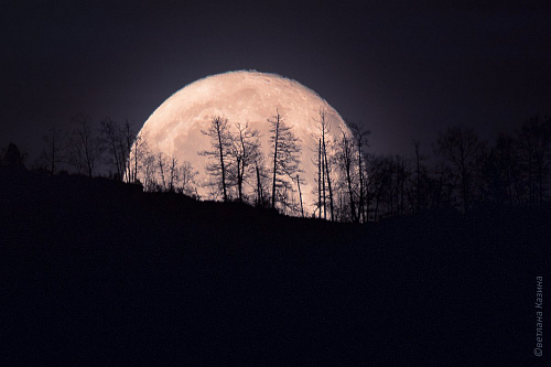 Читать восход луны. Восход Луны. Фото Луны. Восходящая Луна. Луна на рассвете.
