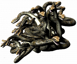 Клубок змей (змея)