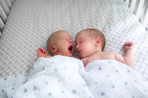 Что значит Родить во сне двойню или более во сне