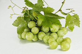 Ветки винограда - фото №4