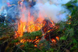 Пожар в лесу - фото №9