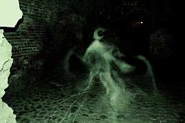Призрак привидение - фото №2