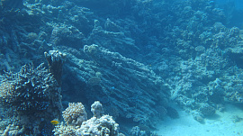 Морская глубина - фото №1