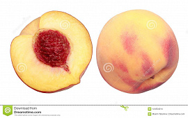 Персик есть или рвать - фото №4