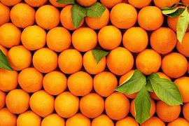Апельсины - фото №2