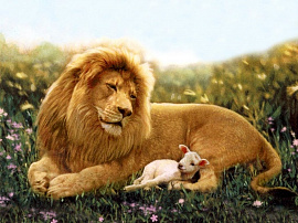 Лев и ягненок - фото №6