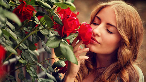 Что значит Запах роз во сне
