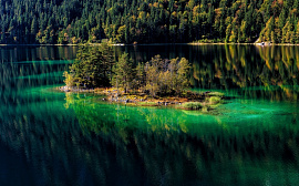 Озеро в лесу